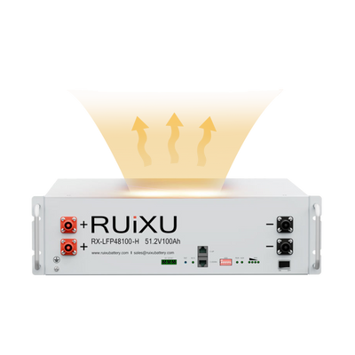 RX-LFP48100-H| 19
