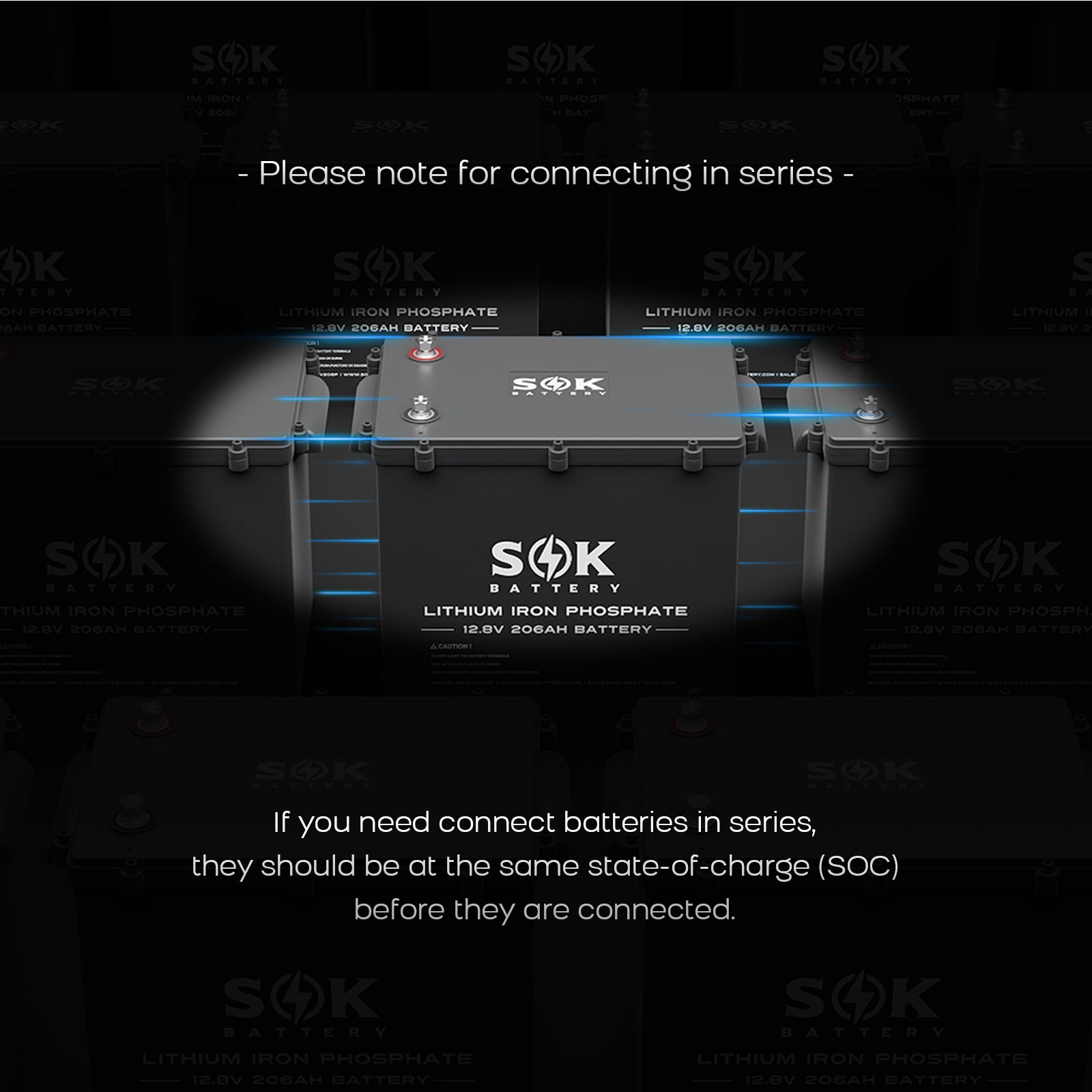SK12V206PH | Marine Grade 12V 206Ah LiFePO4 Battery,Sealed Plastic Box